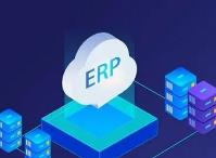 毕节ERP管理软件在使用过程中容易出现哪些问题?